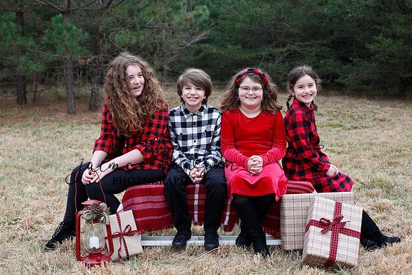 2020 Holiday Photos - Hahn