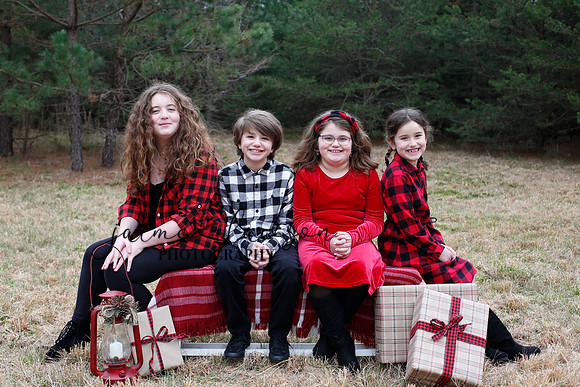 2020 Holiday Photos - Hahn