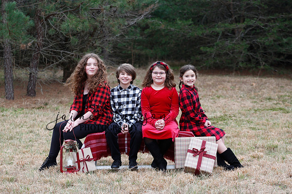 2020 Holiday Photos - Hahn