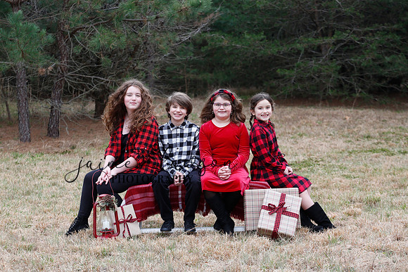 2020 Holiday Photos - Hahn