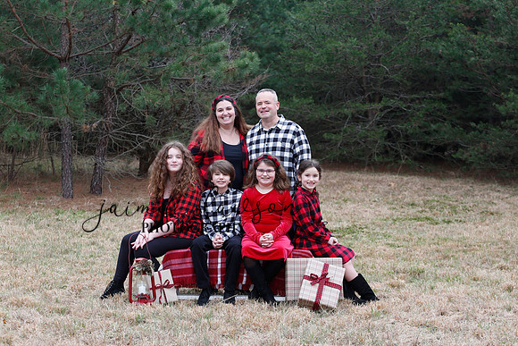 2020 Holiday Photos - Hahn