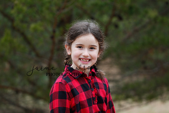 2020 Holiday Photos - Hahn