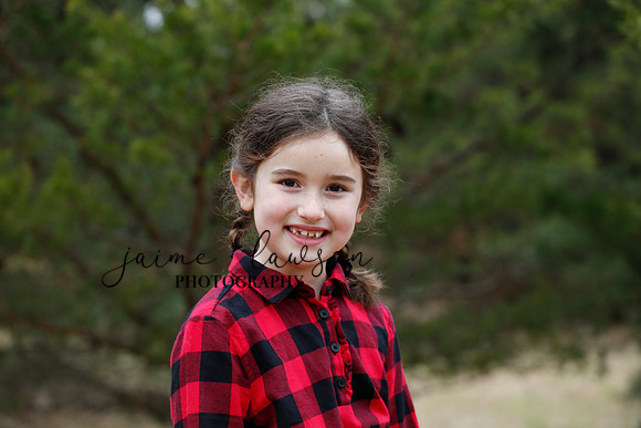 2020 Holiday Photos - Hahn