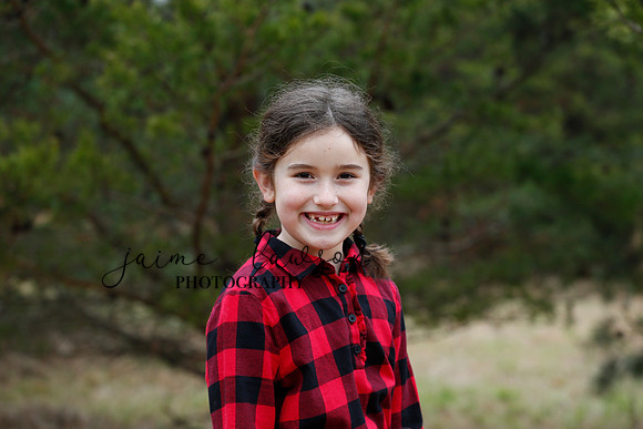 2020 Holiday Photos - Hahn