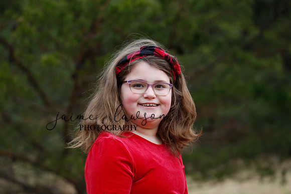2020 Holiday Photos - Hahn