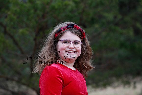2020 Holiday Photos - Hahn