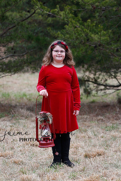 2020 Holiday Photos - Hahn