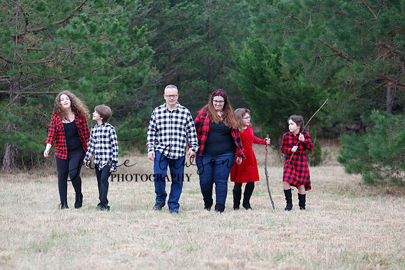 2020 Holiday Photos - Hahn