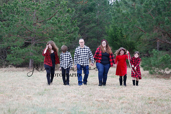 2020 Holiday Photos - Hahn