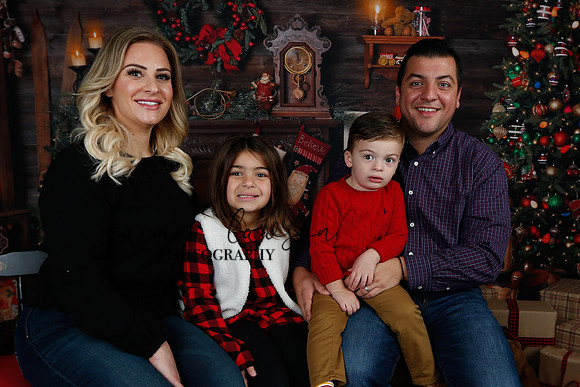 2020 Holiday Mini Session - Skordos