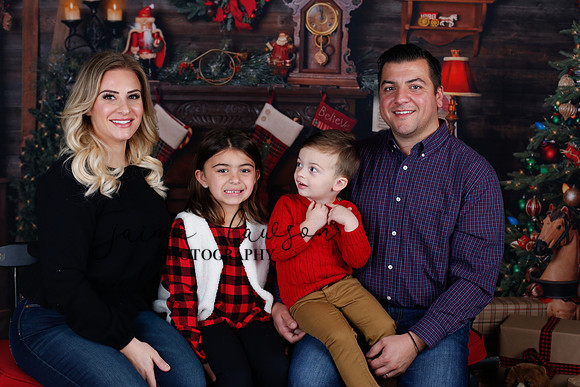 2020 Holiday Mini Session - Skordos