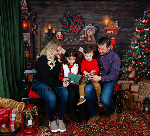 2020 Holiday Mini Session - Skordos