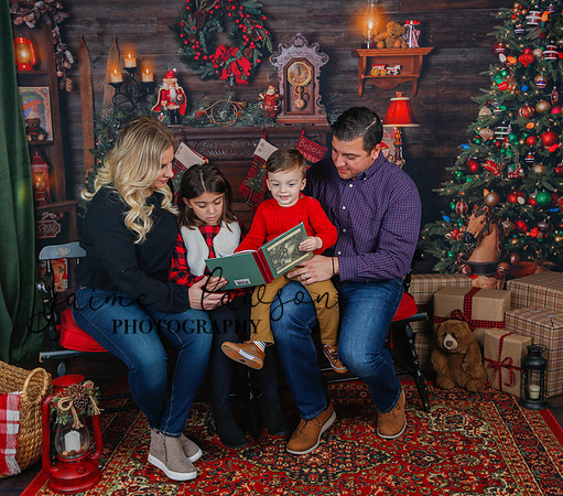 2020 Holiday Mini Session - Skordos