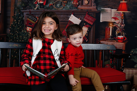 2020 Holiday Mini Session - Skordos