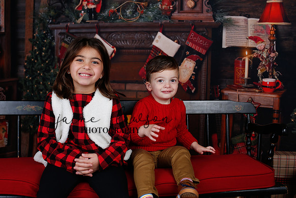 2020 Holiday Mini Session - Skordos