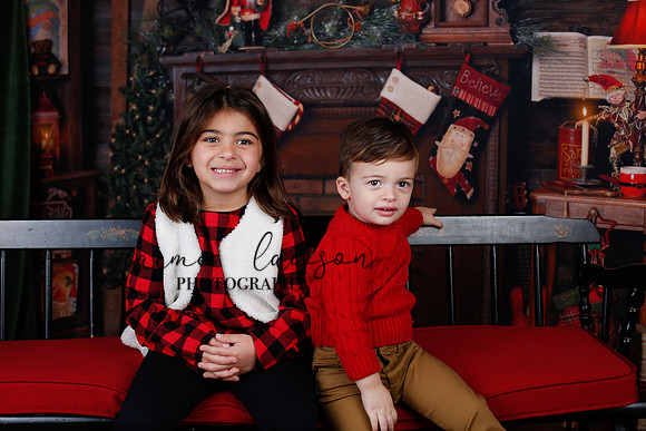 2020 Holiday Mini Session - Skordos