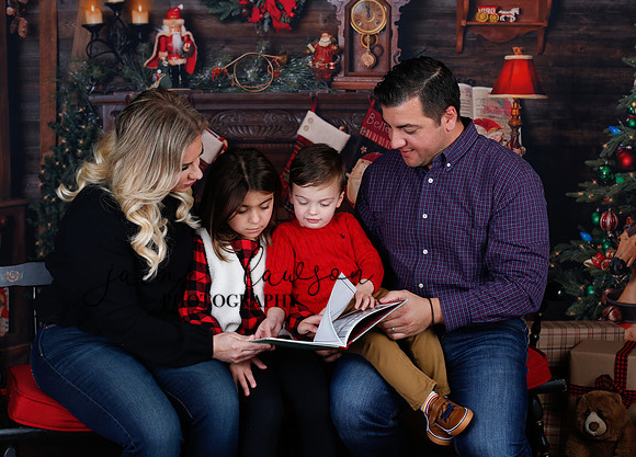2020 Holiday Mini Session - Skordos