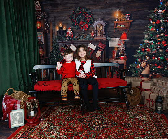 2020 Holiday Mini Session - Skordos