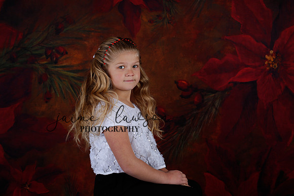 2020 Holiday Mini Session - Kylie and Daulton