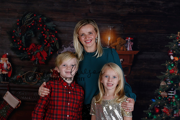 2020 Holiday Mini Session - Sharkey