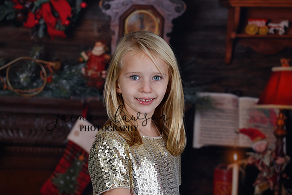 2020 Holiday Mini Session - Sharkey
