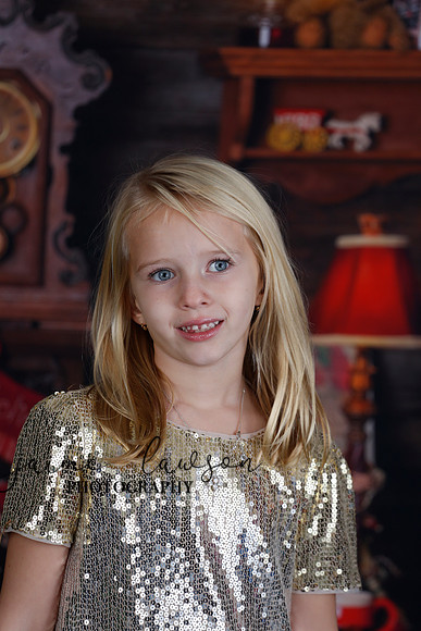 2020 Holiday Mini Session - Sharkey