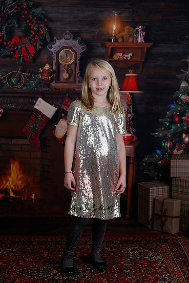 2020 Holiday Mini Session - Sharkey