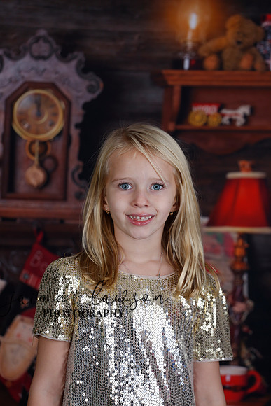 2020 Holiday Mini Session - Sharkey