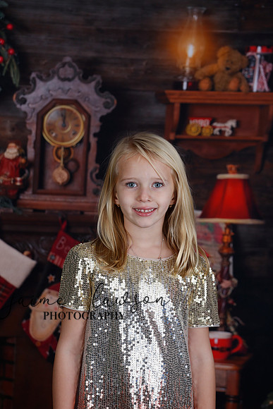 2020 Holiday Mini Session - Sharkey