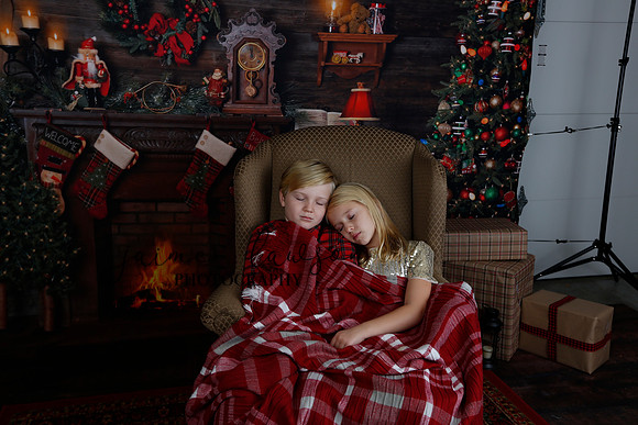 2020 Holiday Mini Session - Sharkey
