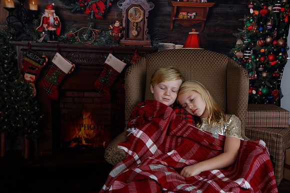 2020 Holiday Mini Session - Sharkey