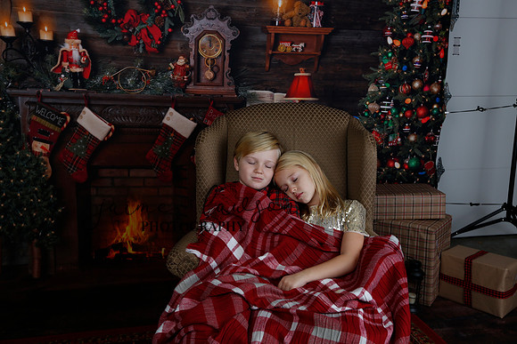 2020 Holiday Mini Session - Sharkey