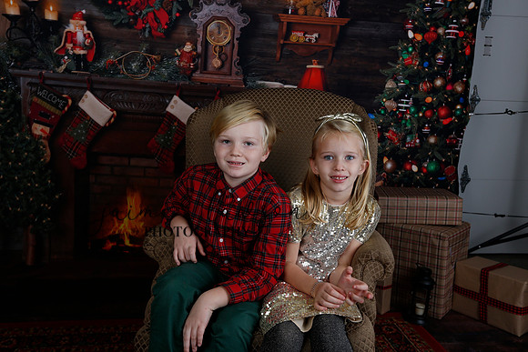 2020 Holiday Mini Session - Sharkey