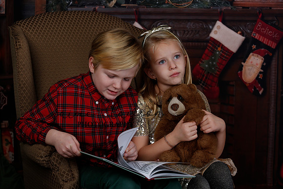 2020 Holiday Mini Session - Sharkey
