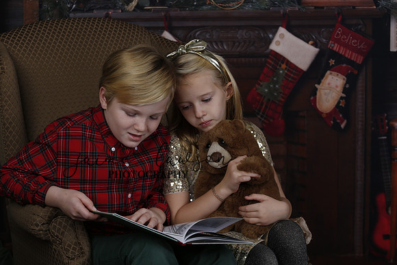 2020 Holiday Mini Session - Sharkey