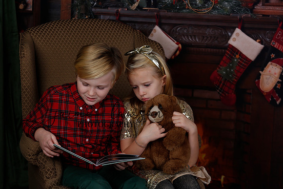 2020 Holiday Mini Session - Sharkey