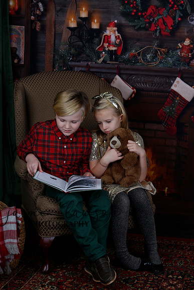 2020 Holiday Mini Session - Sharkey