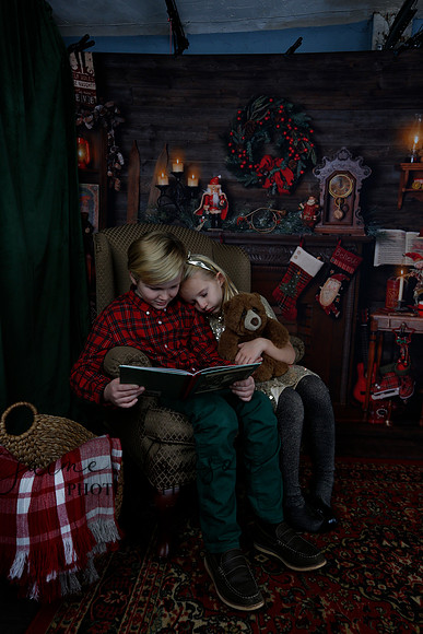 2020 Holiday Mini Session - Sharkey