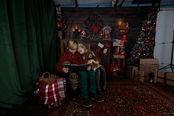 2020 Holiday Mini Session - Sharkey