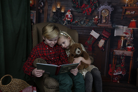 2020 Holiday Mini Session - Sharkey