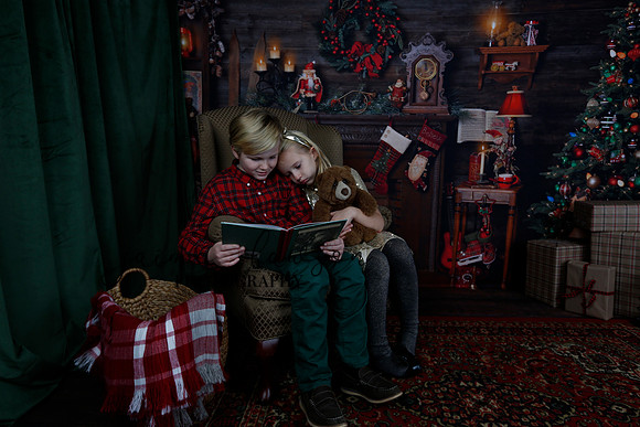 2020 Holiday Mini Session - Sharkey