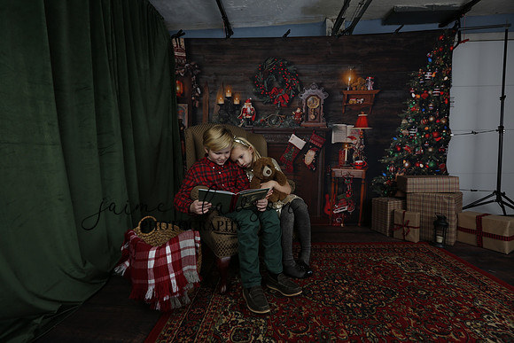 2020 Holiday Mini Session - Sharkey