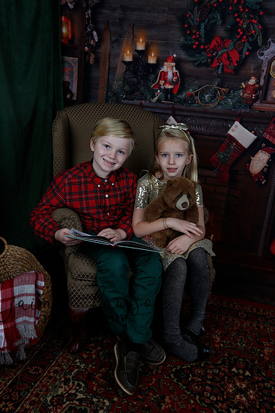 2020 Holiday Mini Session - Sharkey