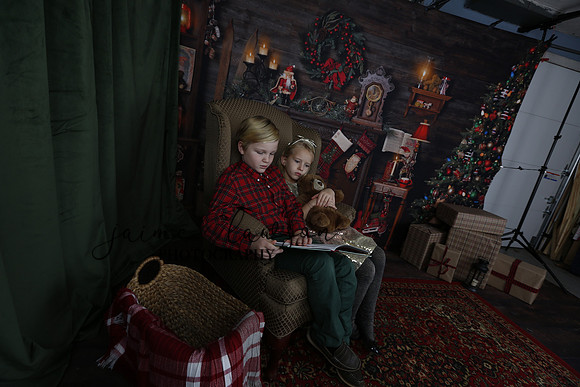 2020 Holiday Mini Session - Sharkey