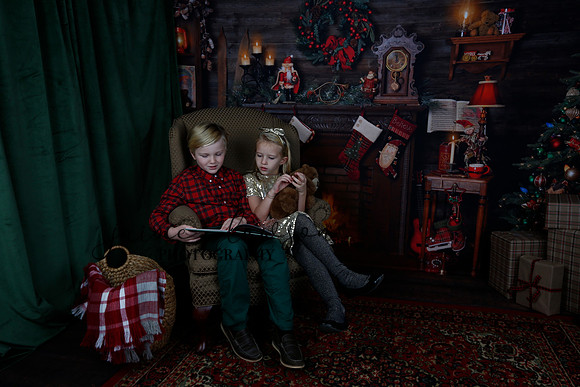 2020 Holiday Mini Session - Sharkey
