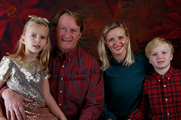 2020 Holiday Mini Session - Sharkey