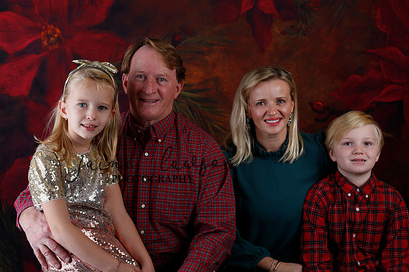 2020 Holiday Mini Session - Sharkey