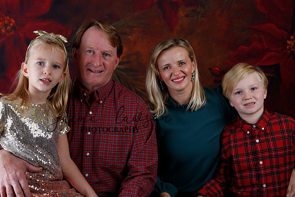 2020 Holiday Mini Session - Sharkey