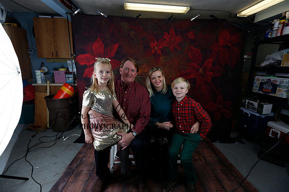 2020 Holiday Mini Session - Sharkey