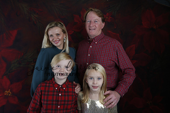 2020 Holiday Mini Session - Sharkey